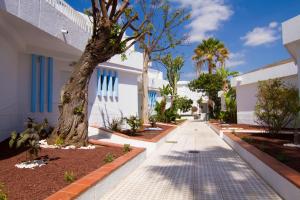a walkway in front of a building with a tree at Checkin Bungalows Atlántida in Los Cristianos
