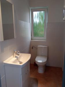 a bathroom with a toilet and a sink and a window at Apartament lângă Catedrală in Câmpulung Moldovenesc