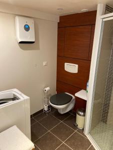 a small bathroom with a toilet and a shower at Maisonnette proche plage Saint-Malo in Saint Malo