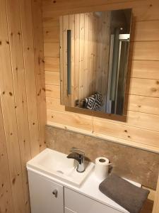 La salle de bains est pourvue d'un lavabo et d'un miroir. dans l'établissement unique sheperds hut ensuite & kitchenette, à Clodock