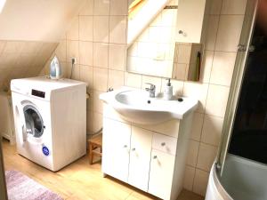 a bathroom with a sink and a washing machine at Apartament Natura in Koszalin