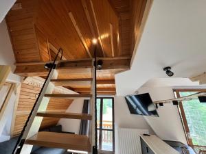 Telewizja i/lub zestaw kina domowego w obiekcie Tatrydom Apartament Loft z kominkiem