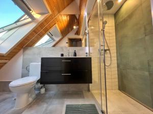 łazienka z toaletą i przeszklonym prysznicem w obiekcie Tatrydom Apartament Loft z kominkiem w Zakopanem