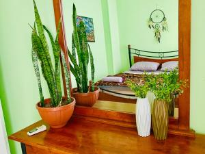 um quarto com três vasos de plantas sobre uma mesa em Elephant House with Sea View em Hurghada