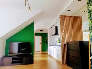 Telewizja i/lub zestaw kina domowego w obiekcie Zielony apartament z widokiem na jezioro