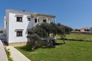 Zahrada ubytování Apartments by the sea Kustici, Pag - 6353