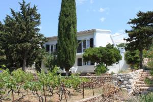 Zahrada ubytování Apartments by the sea Stara Novalja, Pag - 6365