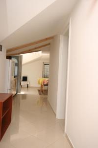 Μια τηλεόραση ή/και κέντρο ψυχαγωγίας στο Apartments with a parking space Mandre, Pag - 6415