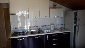 Kuchyň nebo kuchyňský kout v ubytování Apartments by the sea Stara Novalja, Pag - 6375