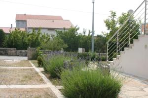 Zahrada ubytování Apartments with a parking space Novalja, Pag - 6398