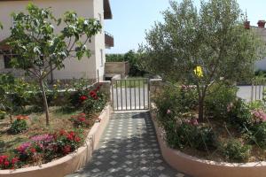 Zahrada ubytování Apartments with a parking space Povljana, Pag - 6296