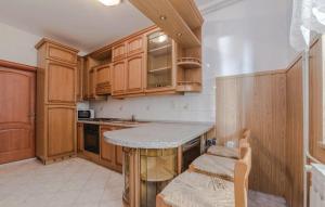 Kuchyň nebo kuchyňský kout v ubytování Apartments by the sea Stara Novalja, Pag - 6319 + 37 fotografií