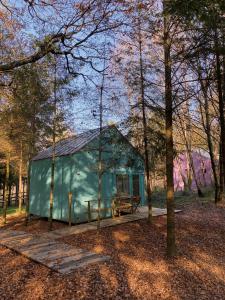 a green shed in the middle of a forest at Cabanas da Ulla in Touro