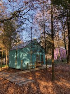 un cobertizo verde en medio de un bosque en Cabanas da Ulla, en Touro