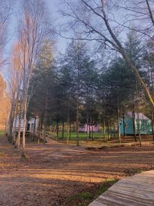 un parque con árboles y un edificio a lo lejos en Cabanas da Ulla, en Touro