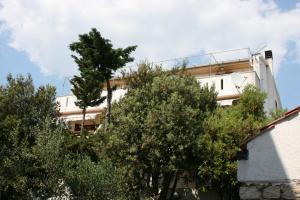 Fotografie z fotogalerie ubytování Apartments by the sea Mandre, Pag - 6374 v destinaci Kolan