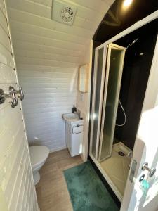 a small bathroom with a toilet and a sink at Finest Retreats - Proper Job Cabin in East Looe