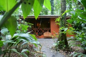 a house in the jungle with a swing at Pachamama Jungle River Lodge - Punta Uva in Puerto Viejo