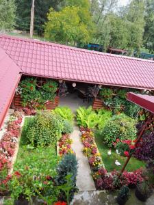 霍雷祖的住宿－Casa Ion，花园的顶部景色,花园种有鲜花和植物