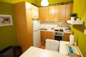 Kuchyňa alebo kuchynka v ubytovaní Premium GaLeRia 4A + 22 fotografií