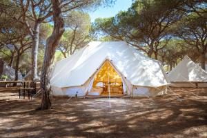 two white tents in a field with trees at Kampaoh Doñana in El Abalario