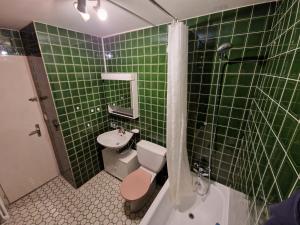 La salle de bains est pourvue de carrelage vert, de toilettes et d'un lavabo. dans l'établissement Bonavau studio3, à Champéry