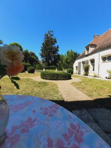 wazon kwiatów siedzący na stole w ogrodzie w obiekcie Maison Zola w mieście Saint-Amand-Montrond