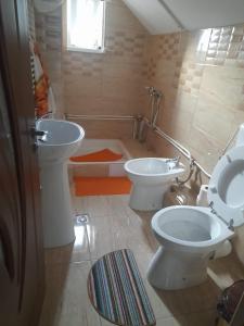 a bathroom with a toilet and a sink at Casa Ion in Horezu