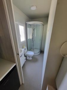 a bathroom with a toilet and a glass shower at Kamp Katra Mobilna hiška ECO in Vinica