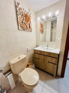 uma casa de banho com um WC, um lavatório e um espelho. em El refugio de la ardilla, apartamento Canfranc-estacion em Canfranc