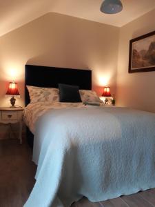 een slaapkamer met een groot wit bed met 2 lampen bij Kitty's in Tullamore
