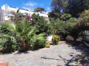 einen Garten mit Pflanzen und Bäumen und ein Gebäude in der Unterkunft Casa Antonietta in Ischia