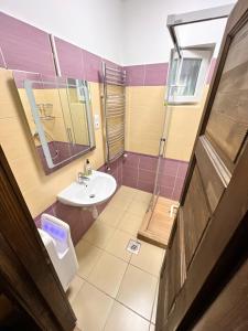 a bathroom with a toilet and a sink at Fehér galamb apartman in Gyál