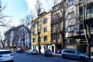 考納斯的住宿－Luxury Central Apartment in Putvinskio street，一条在大楼前停放汽车的街道