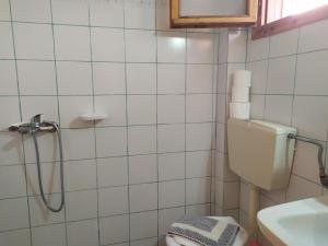 a bathroom with a toilet and a shower at Studios Thanasis in Limenaria