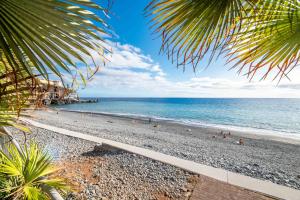 a beach with a palm tree and the ocean at Pestana Ocean Bay Resort in Funchal