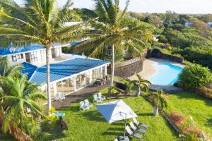 uma vista aérea de uma casa com piscina e palmeiras em Villa Maya oceanfront with pool, jaccuzzi, wifi, jets in bathroom em Trou dʼ Eau Douce