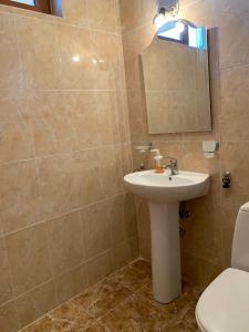 a bathroom with a sink and a mirror and a toilet at Sunny Home in Sandanski