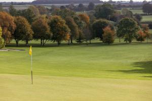 um campo de golfe com uma bandeira amarela no verde em Kitty's em Tullamore