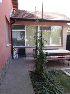 a bench in front of a house with a tree at Vila Roz in Mangalia