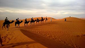 Photo de la galerie de l'établissement Les Roches Desert Camp, à Merzouga