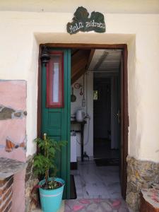 uma porta verde de uma casa com um vaso de planta em smještaj Mala Zidanica em Tomaševci