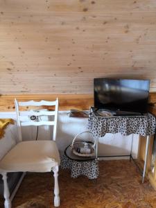 sypialnia z biurkiem, telewizorem i krzesłem w obiekcie smještaj Mala Zidanica w mieście Tomaševci