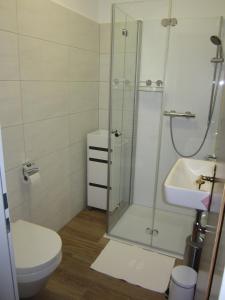 a bathroom with a shower and a toilet and a sink at Pension-Gästehaus Waldhof in Winterberg