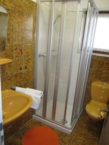 a bathroom with a shower and a toilet and a sink at Pension-Gästehaus Waldhof in Winterberg