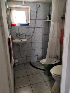 mała łazienka z umywalką i toaletą w obiekcie smještaj Mala Zidanica w mieście Tomaševci