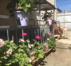 a garden with flowers and potted plants on a fence at hotel castle in Kutaisi