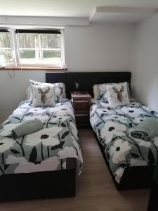 a bedroom with two beds next to each other at Les studios du Domaine d'Eva in Libramont