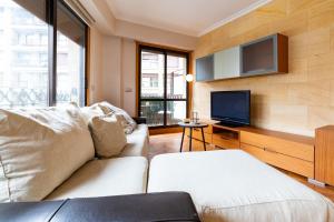 サン・セバスティアンにあるComfy & luminous terrace apartmentのリビングルーム(ソファ、薄型テレビ付)