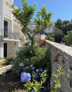 a retaining wall with flowers in front of a building at RESIDENCE IL GIARDINO DI DONNA LEDA in Castro di Lecce